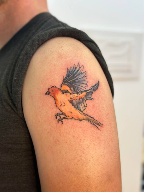 Bird Tattoo by Haley at Tantrix Body Art