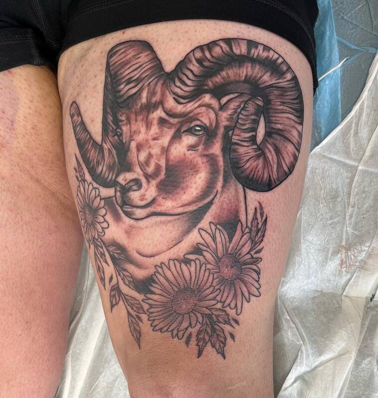 neo trad long horn sheep tattoo by bella at tantrix body art