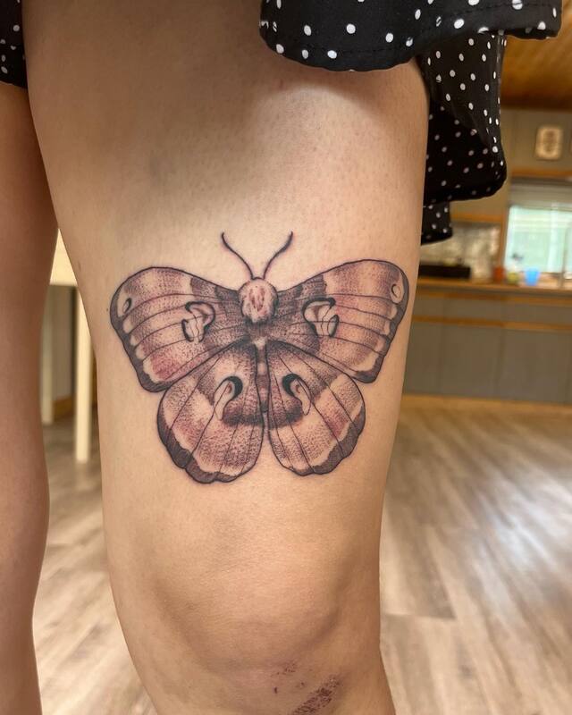moth tattoo by bella at tantrix body art