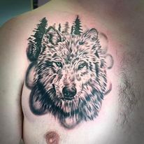 wolf tattoo by bella at tantrix body art