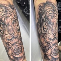 tiger tattoo by bella at tantrix body art