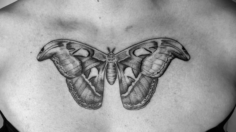 chest tattoo moth by Bella Thompson Hill 